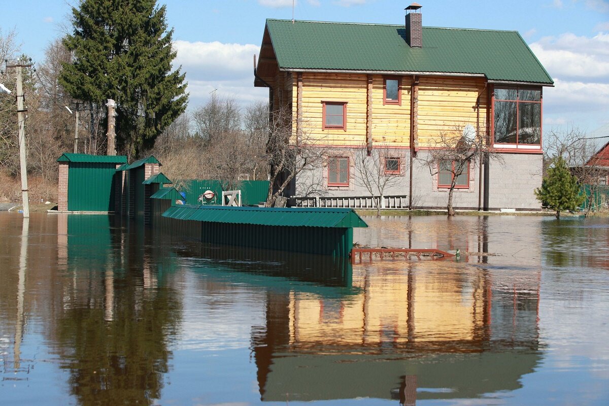 Фото: Zamir Usmanov/Russian Look