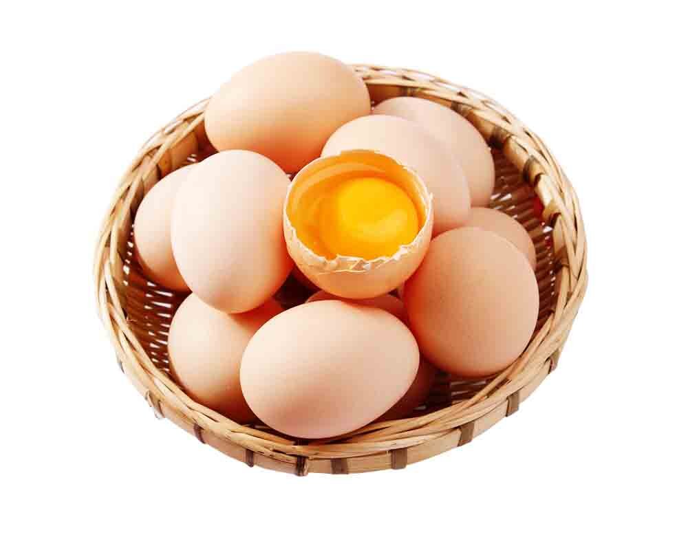 Покажи яйцо курицы. Яйцо куриное. Яйцо домашнее куриное. Красивые куриные яйца. Яички куриные.