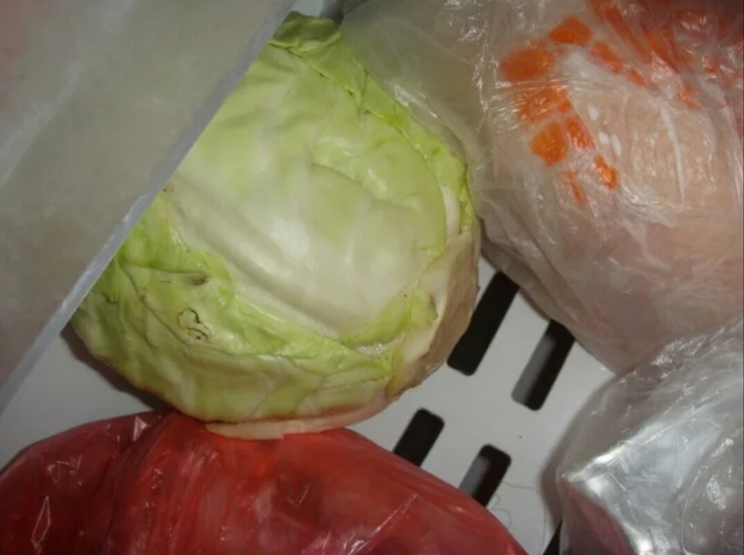 Фото взято с открытого доступа.