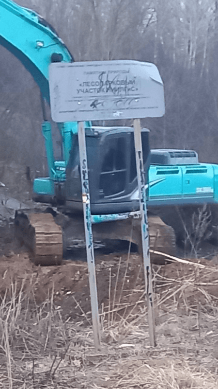    Фото: «Мой и твой Воронеж»