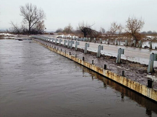     фото: Администрация города Тулы