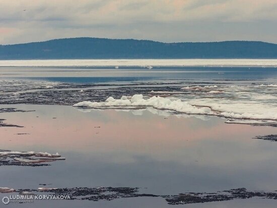   Людмила Корвякова