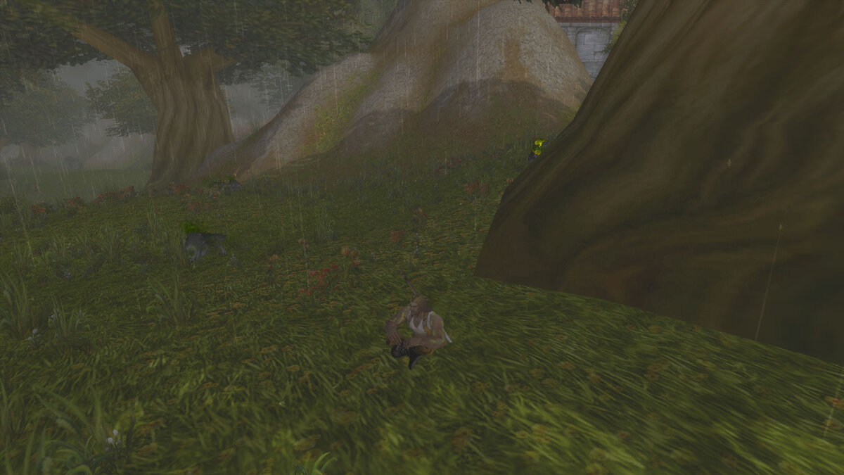 Идёт дождь, рядом бродят волки, очень сыро... Где я оказался на этот раз? 