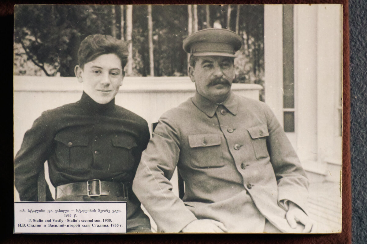 Причины смерти Сталина Василия: известные факты и теории