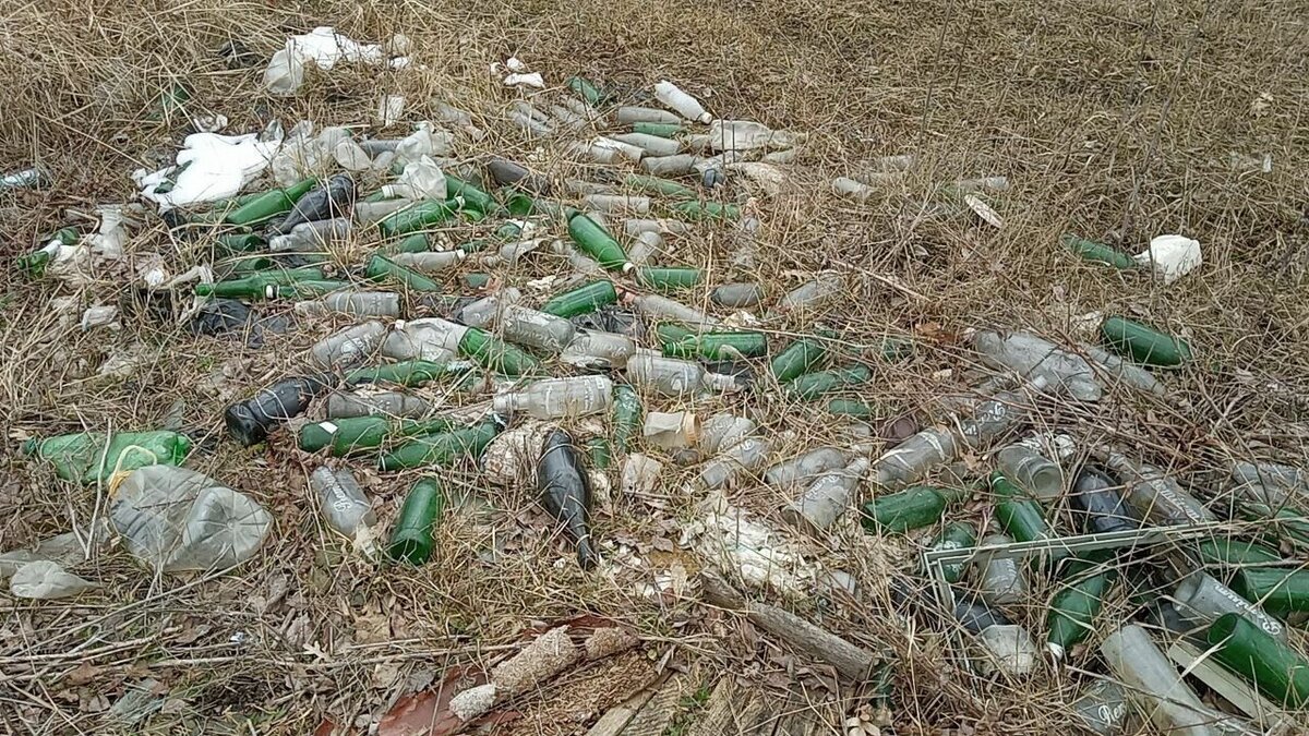     В Ставропольском крае на землях сельскохозяйственного назначения обнаружили большую свалку, сообщает управление Россельхознадзора.