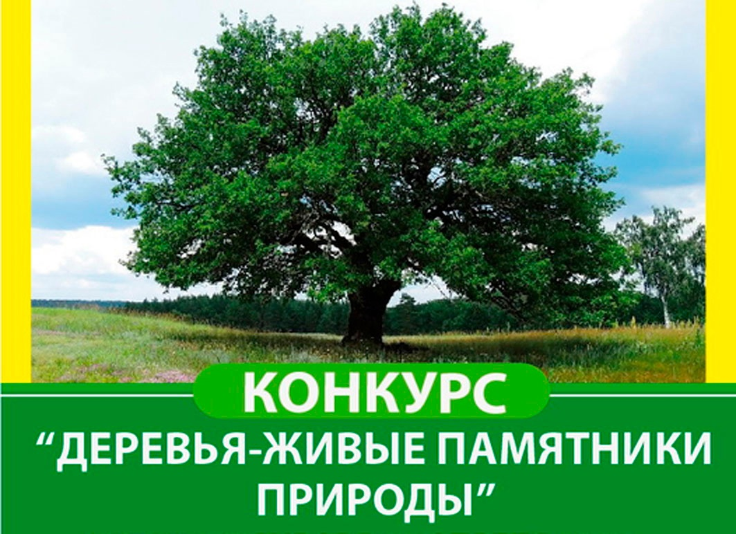 Памятники живой природе. Деревья памятники живой природы. Деревья памятники живой природы конкурс. Деревья памятники природы. Всероссийский фотоконкурс «деревья – памятники живой природы».