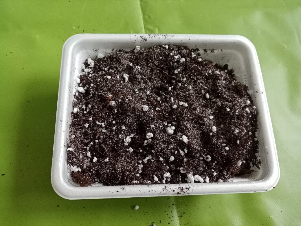 Вот такая рыхлость получилась. Фото автора