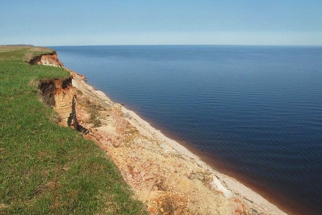 Глинт новгородская область