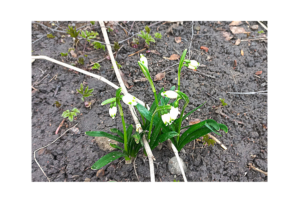 Теперь точно весна!