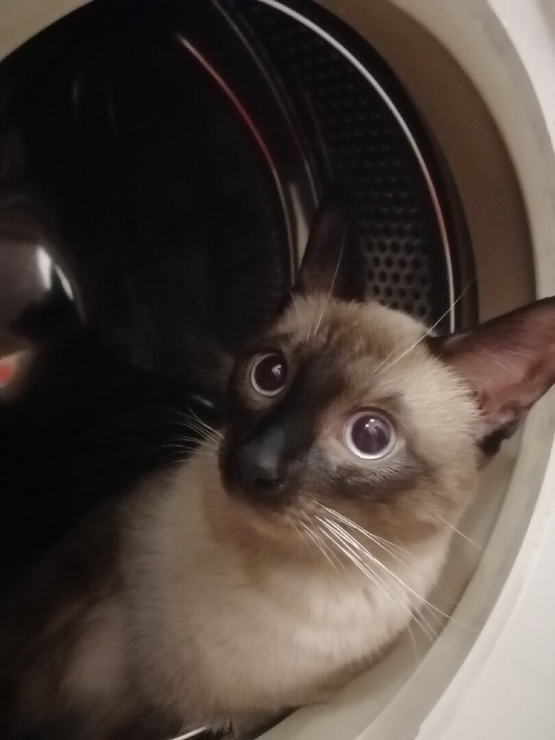 - А что нельзя, да?
