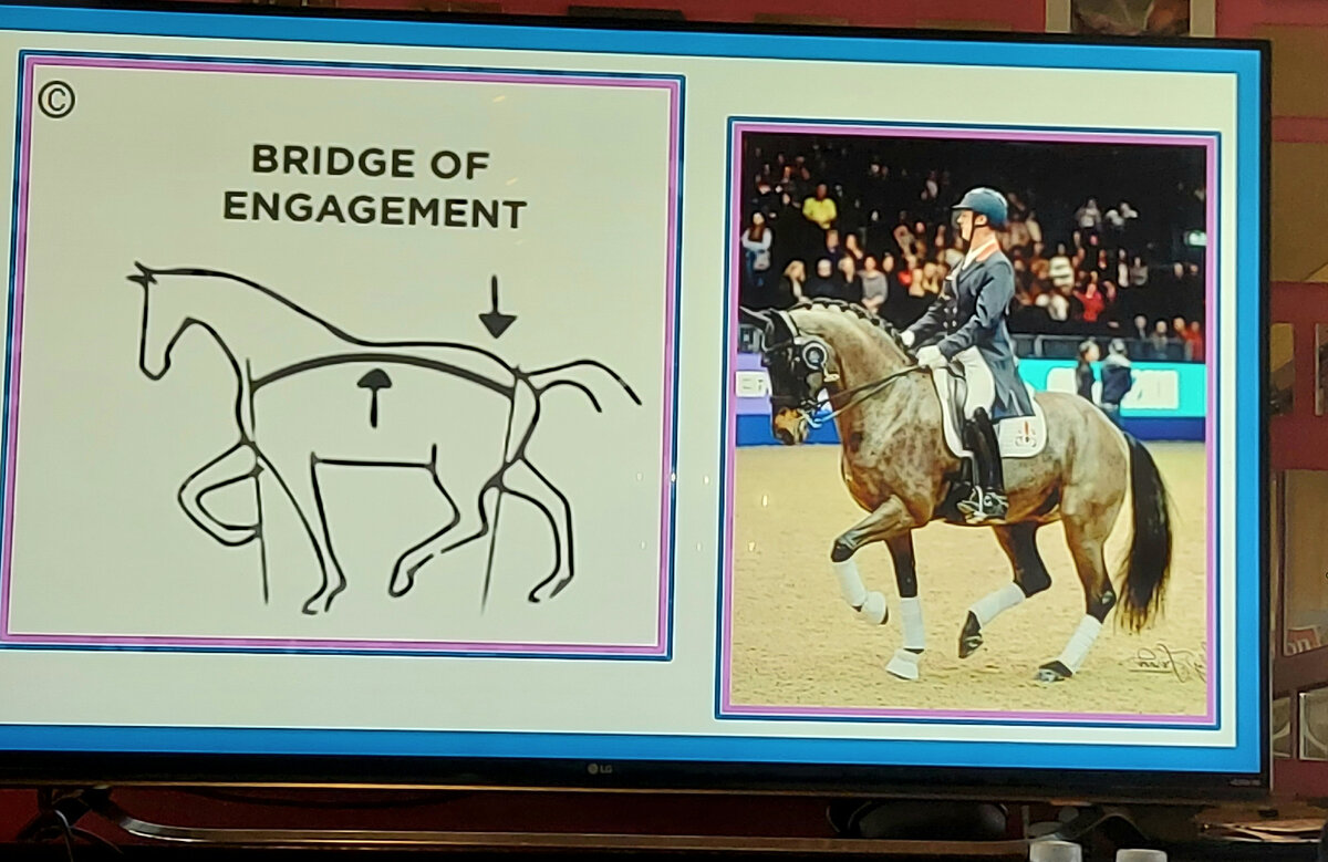 Это фото Карла Хестера как демонстрация прекрасного сбора. И картинка демонстрирующая понятие "проводимость" - импульс от идущий от задних ног к поводу. По-русски так не скажешь. Так чтобы коротко.