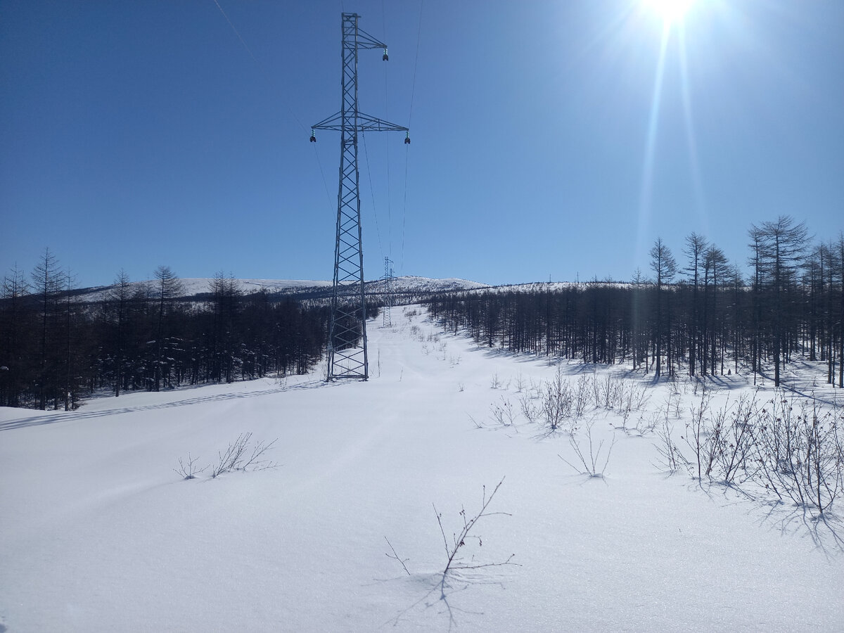 И на перевале деревья чистые.