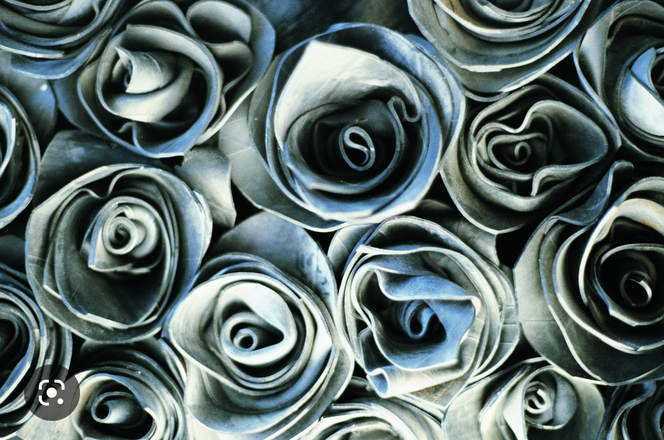 Фото из интернета