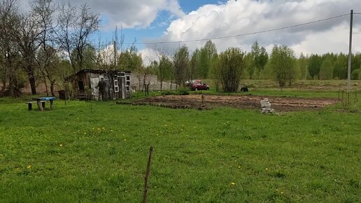 Проверка посадок картофеля и лука на проекте Сапуново 16052022.