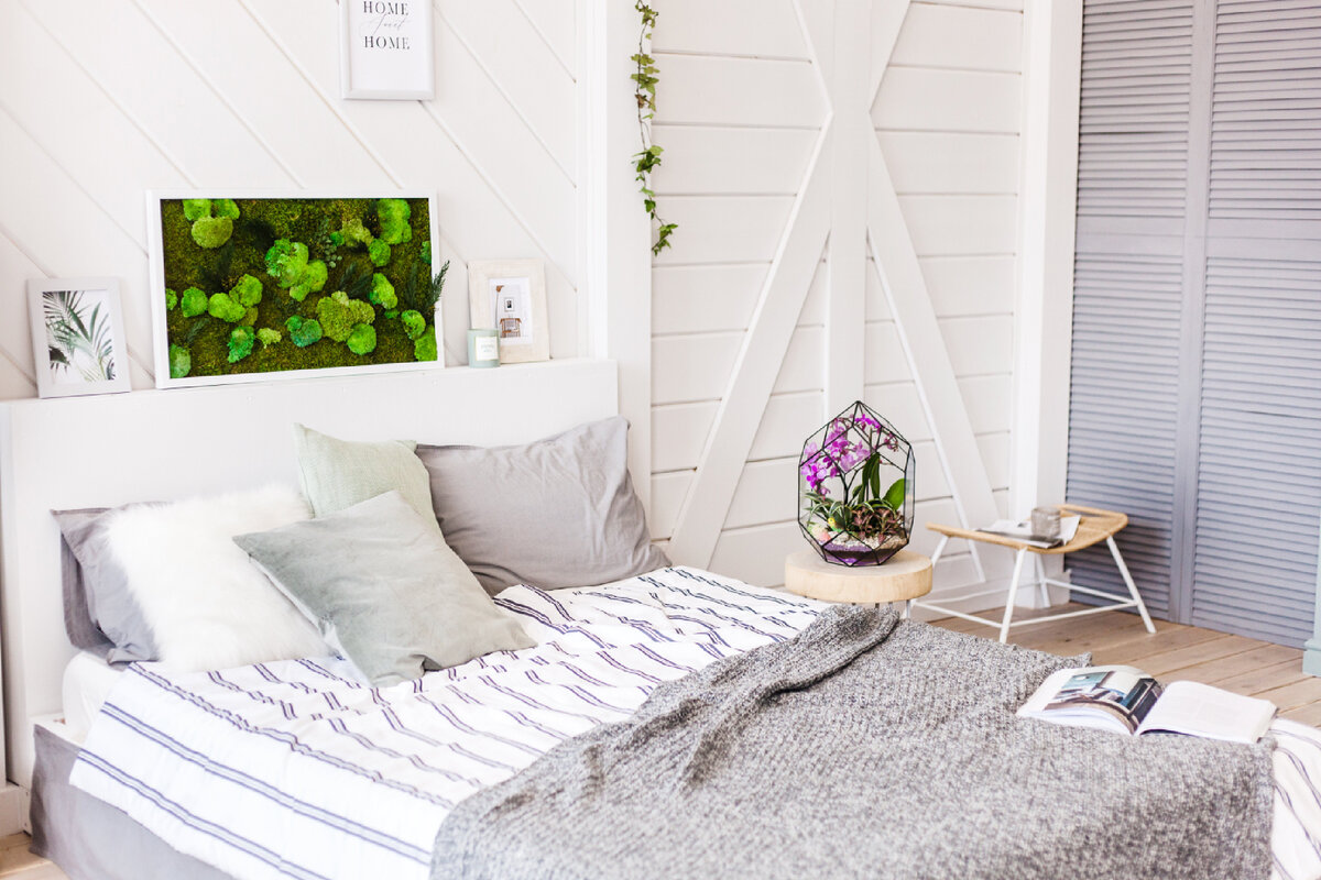 На фото представлен Орхидариум и картина из стабилизированного мха.