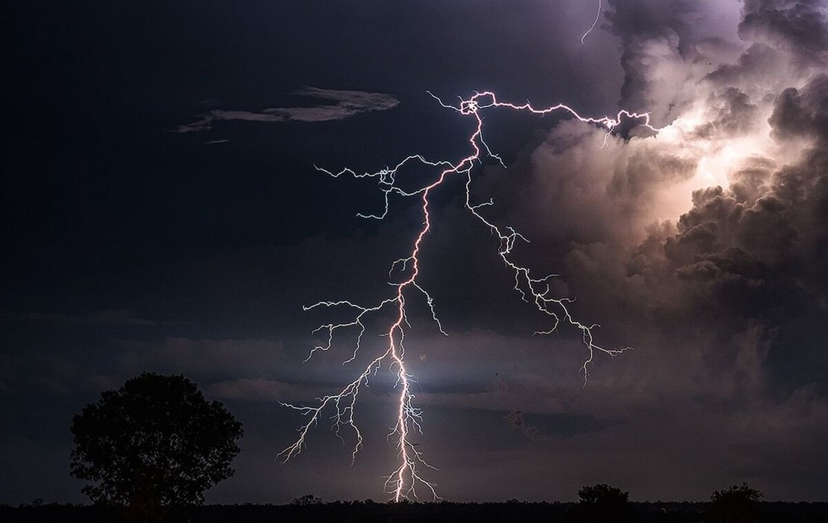 картинка из открытых источников.