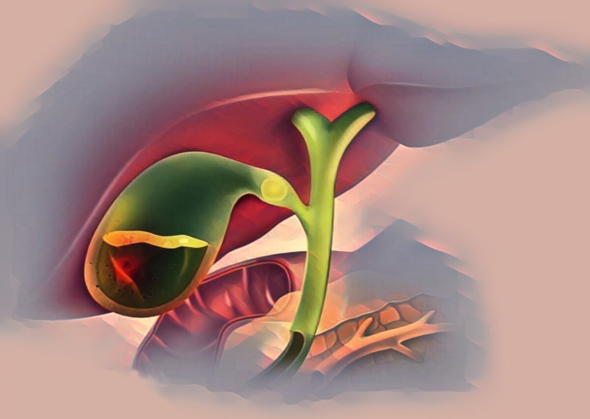 Желчь в печени