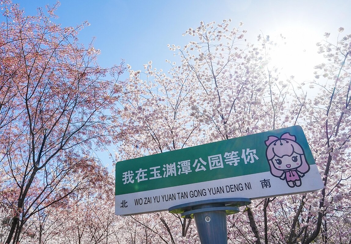 Стоимость тура зависит от нескольких факторов.  Фото: Фото: Chen Yehua/ XinHua/ globallookpress.com