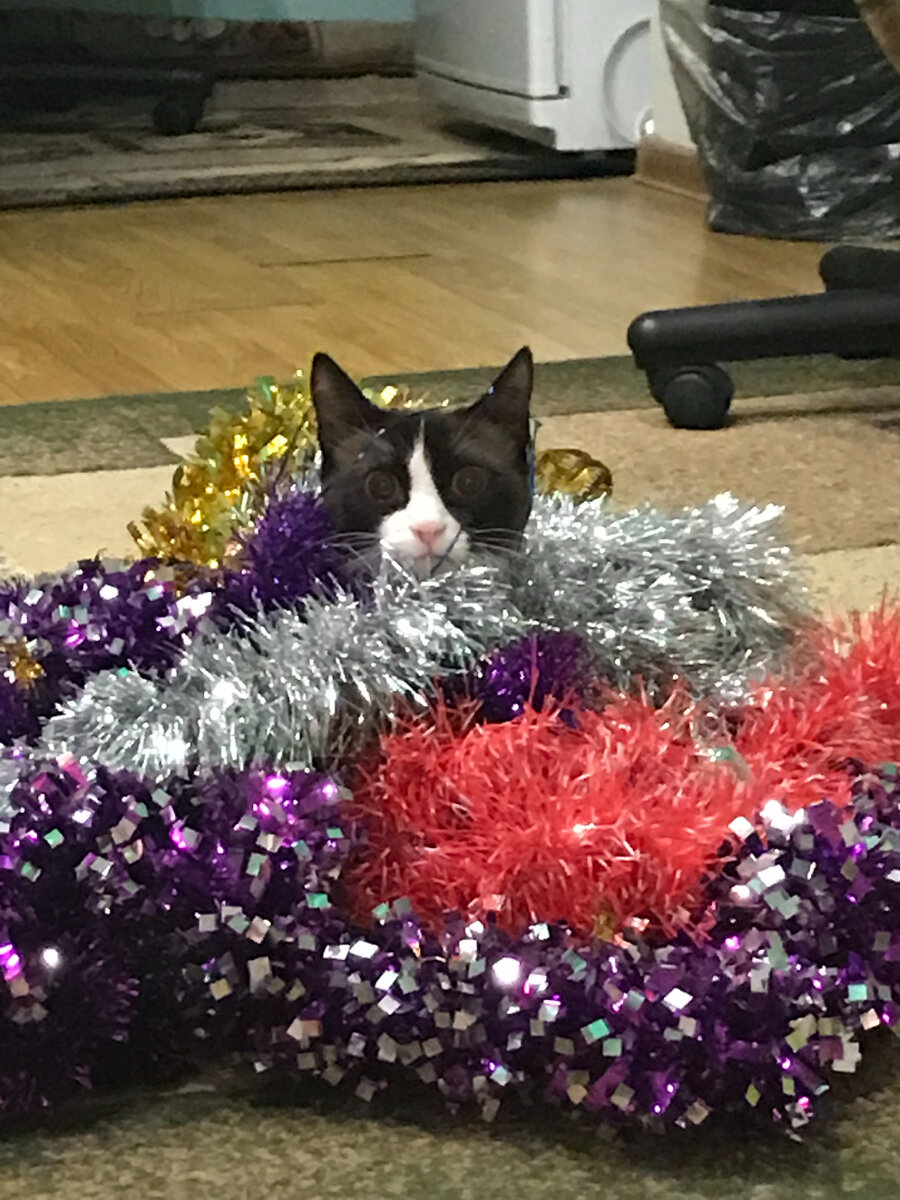 Фото автора