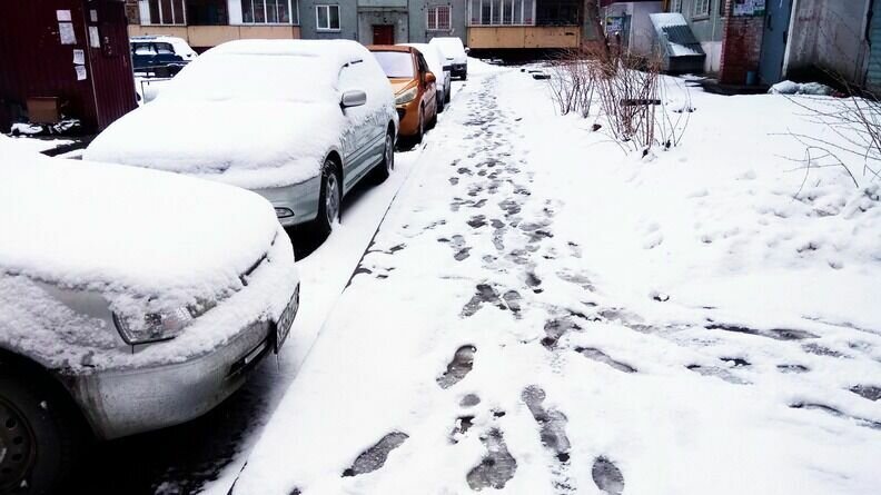     В некоторых районах снежных покров увеличится на 20 см. Об этом сообщили карельские синоптики в соцсетях.