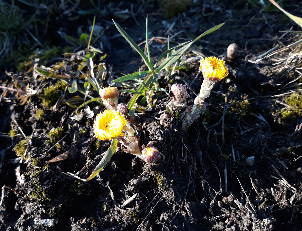 Фото: Zamir Usmanov/Global Look Press