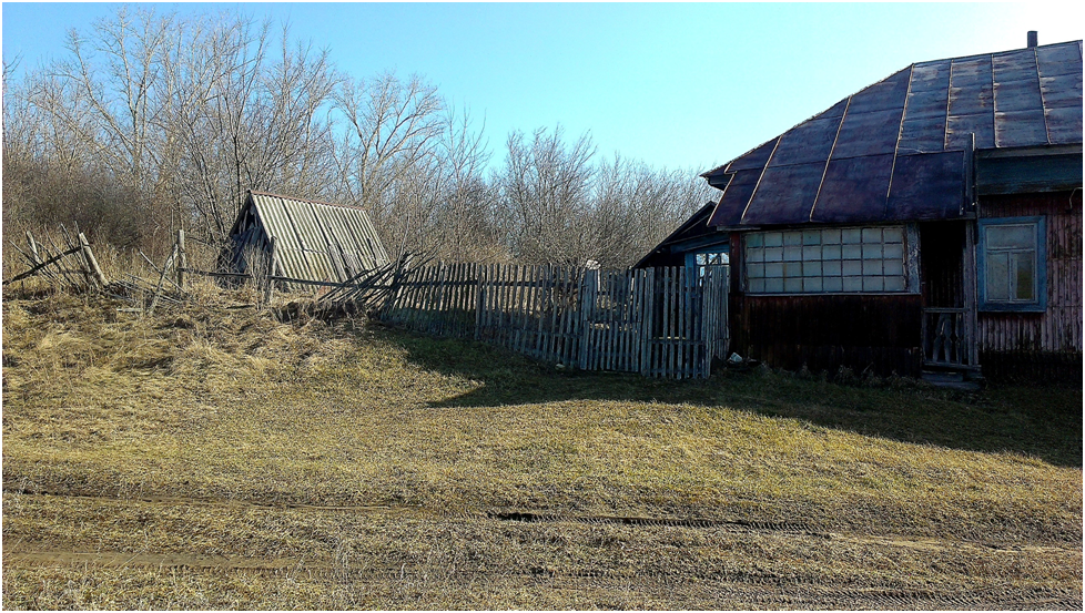 Пензенская область лопатинский