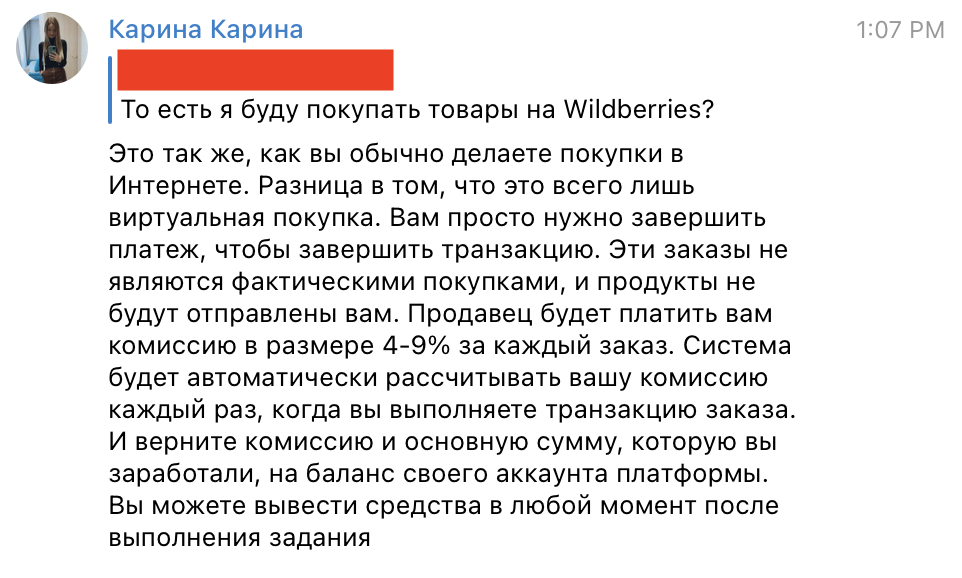 Написал менеджер Wildberries: что будет если согласиться на лёгкую