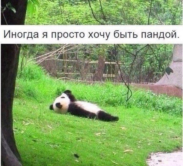 С просторов интернета.