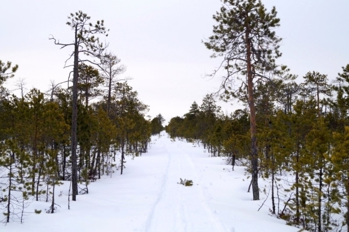    В Тюменской области с 3 апреля вводится особый противопожарный режим