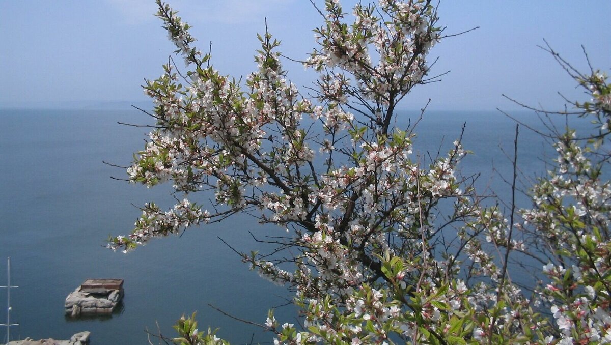     Специалисты Примгидромета рассказали, каковы основные температурные и прочие характеристики апреля в Приморском крае. Этот месяц, по словам специалистов, типичный переходный период.