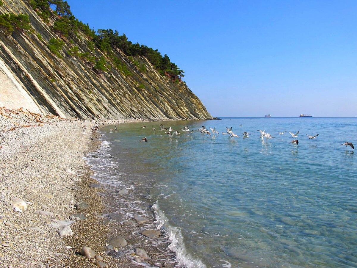 кабардинка на черном море