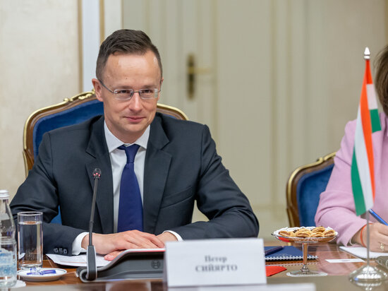     глава мид венгрии петер сийярто / Global Look Press