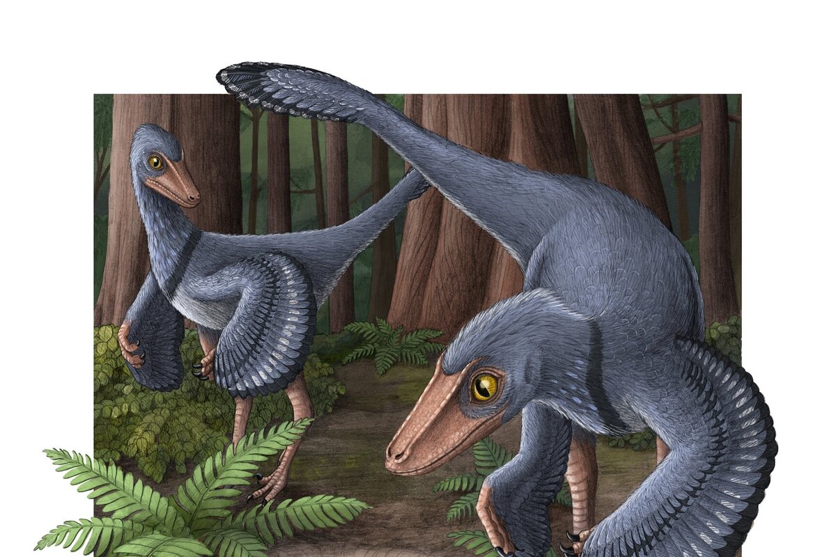     Динозавр троодон был похож и на птиц, и на рептилий