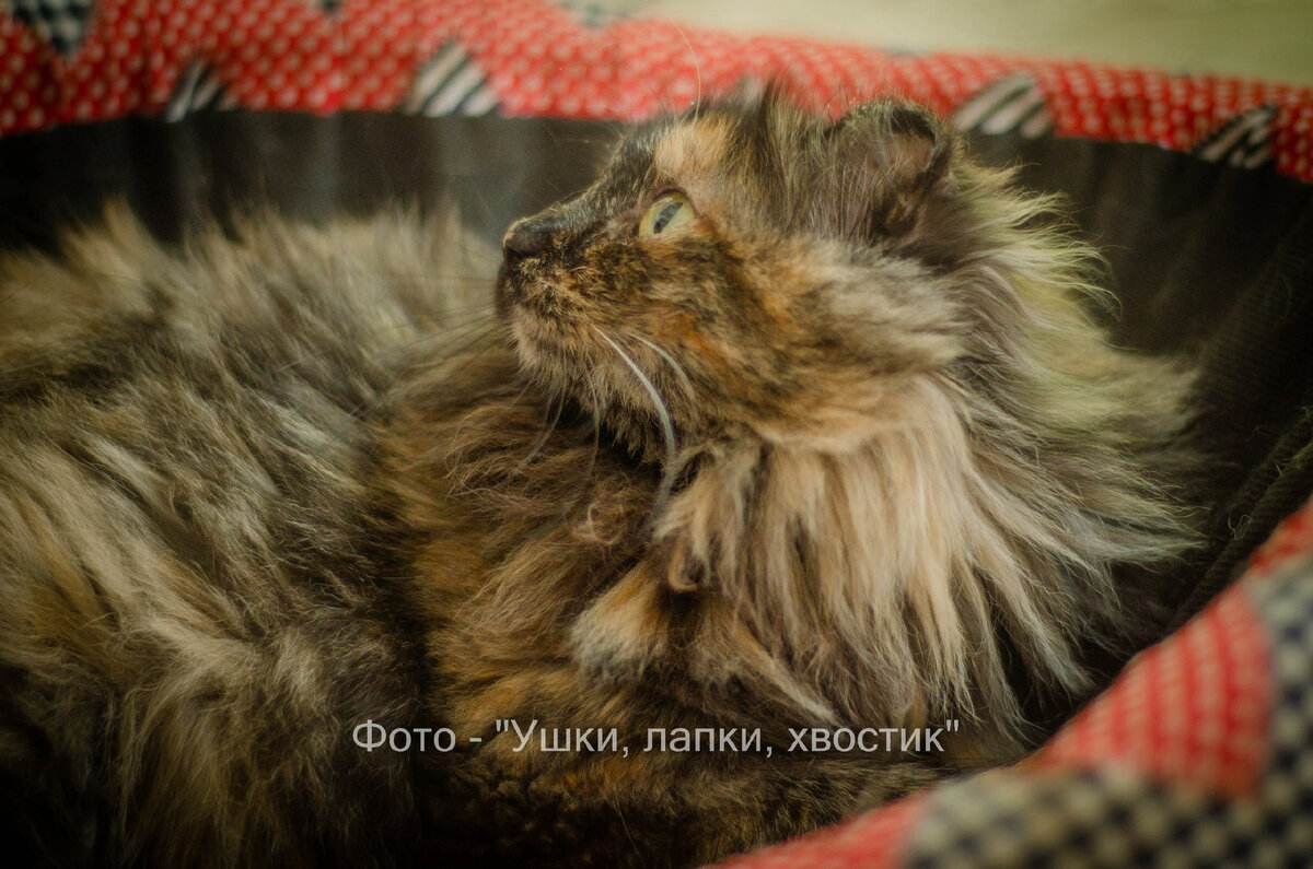 Сняли меня в профиль