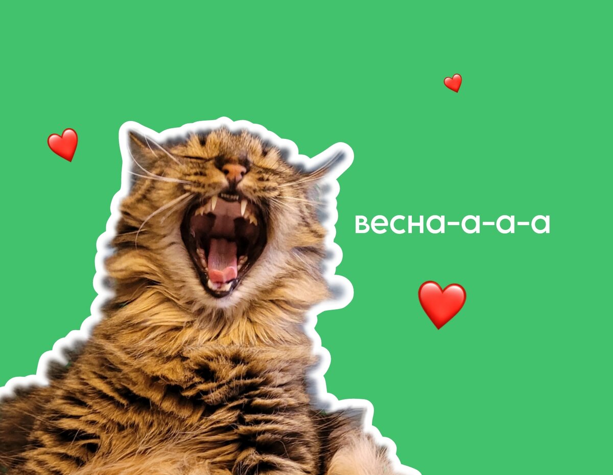 Кому же ещё быть на весенней обложке? :)