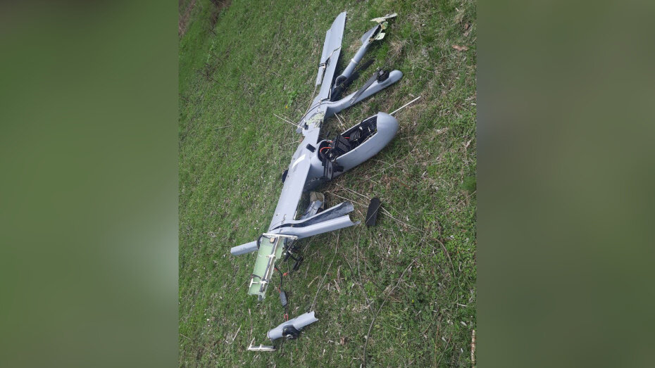    Автор фото: t.me/vvgladkov