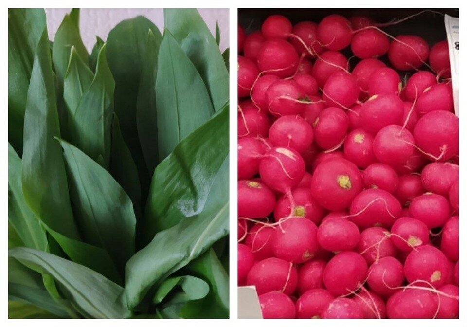     Черемша и редиска выглядят аппетитно. Фото: читатель КП