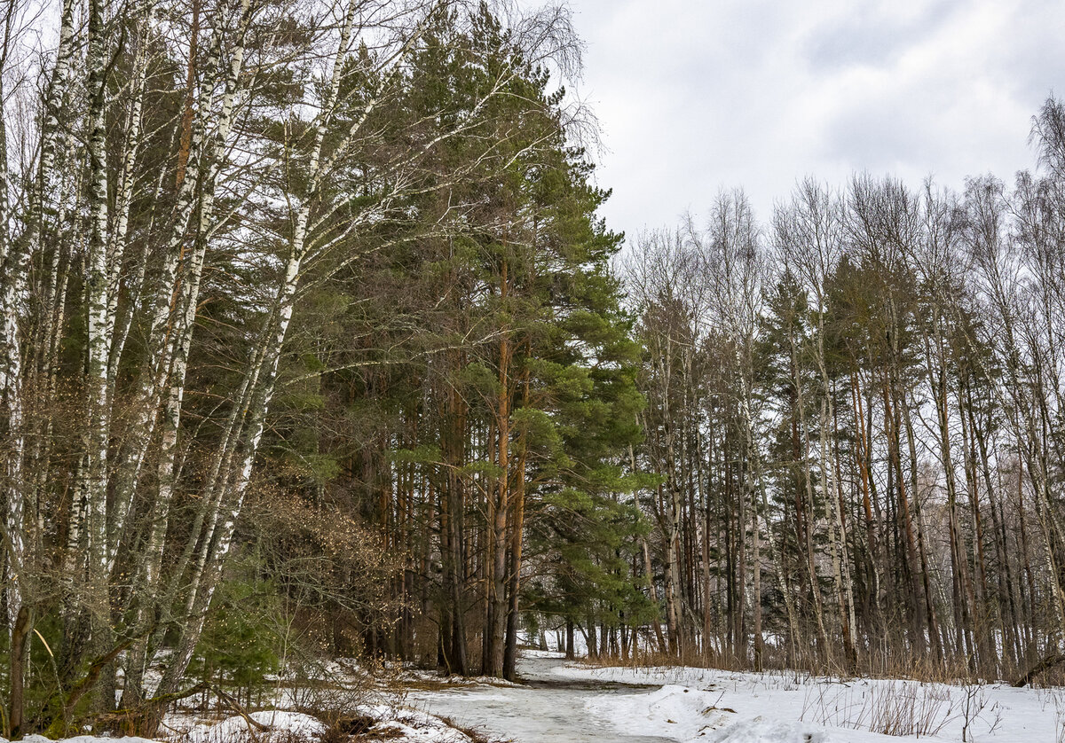    Светлана Парфенова
