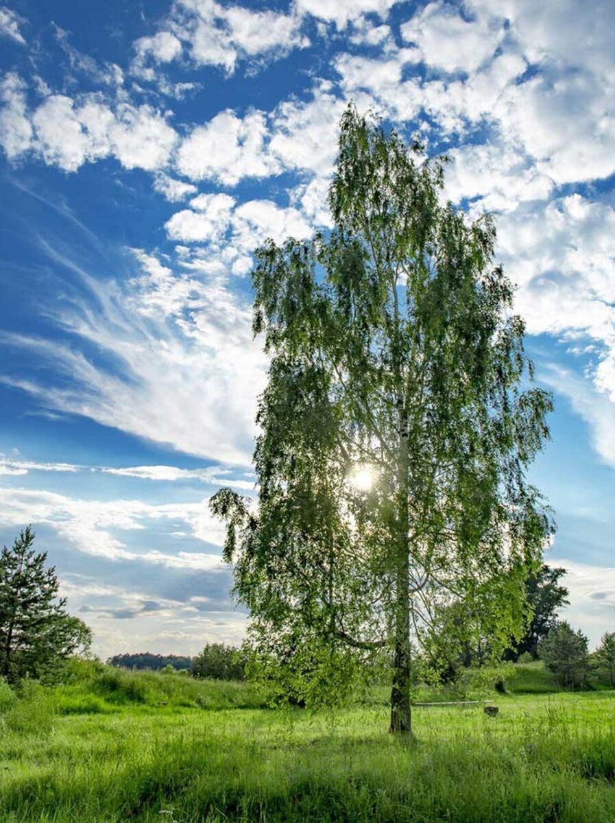 У ребенка аллергия на новую мебель