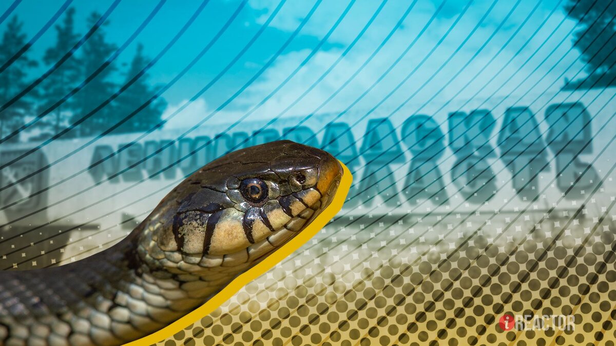    Инфореактор