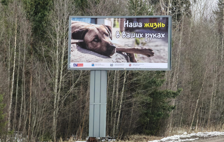 Фото: veterinary.lenobl.ru