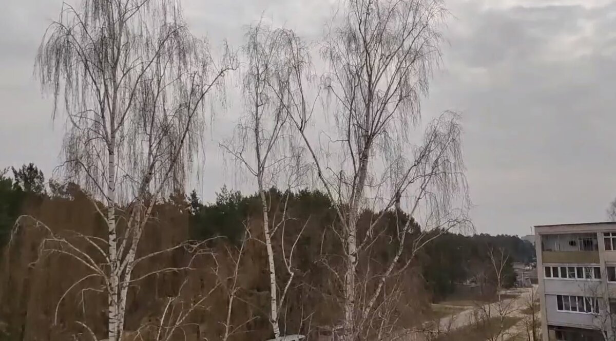 Взрывы в алексине тульской области 4 октября. Хлопки в туле сейчас. Хлопки в туле сейчас. Ветер порывами 19 м/с это что. Взрыв над калугой.