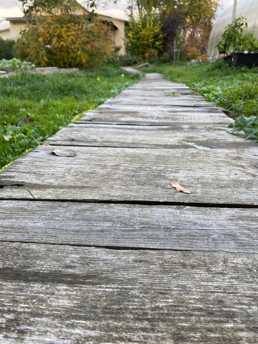 Дорожка к дому