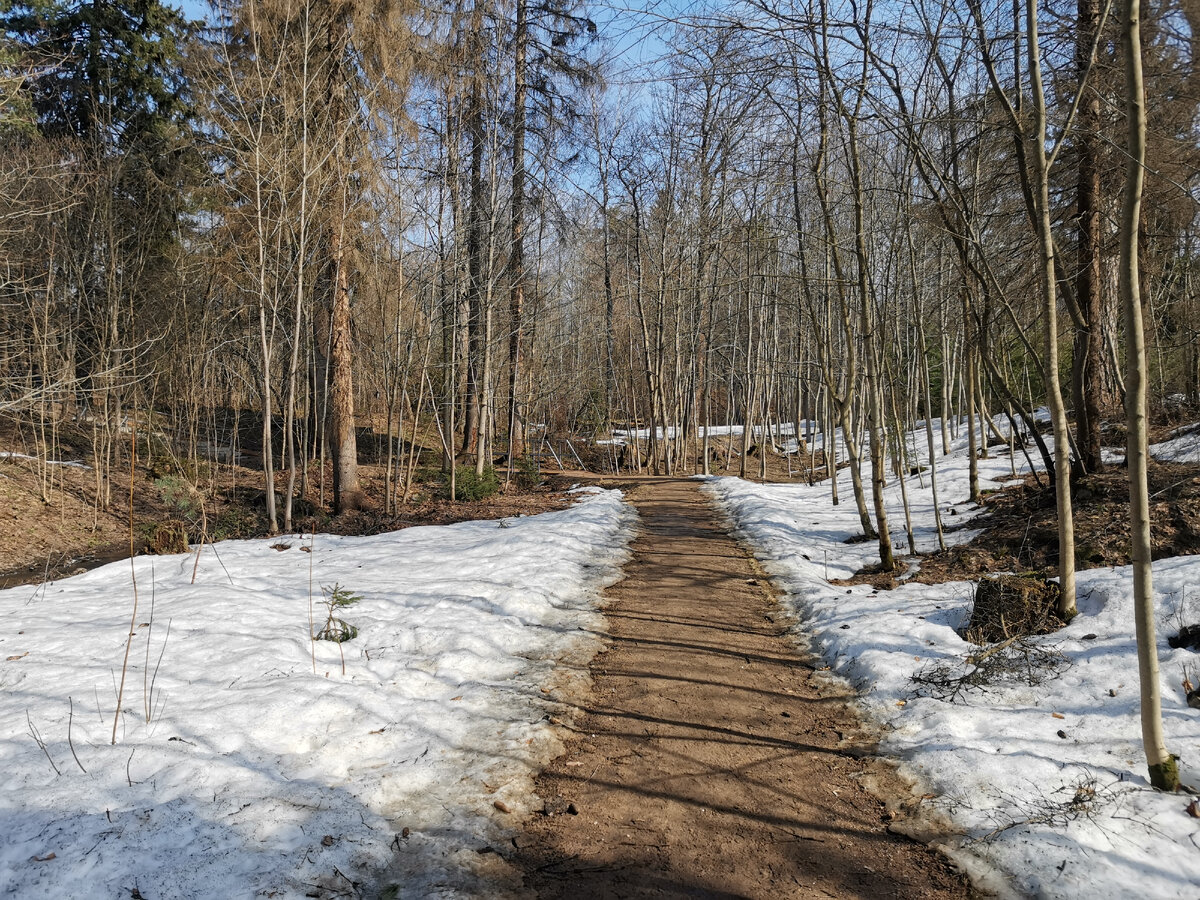Дорожка к роднику