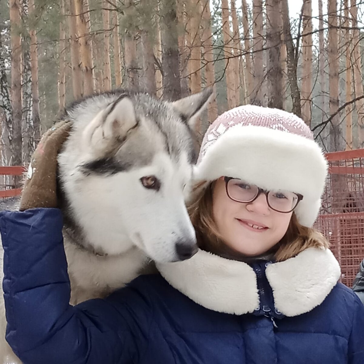 В Хаски-Ленде г. Кемерово.