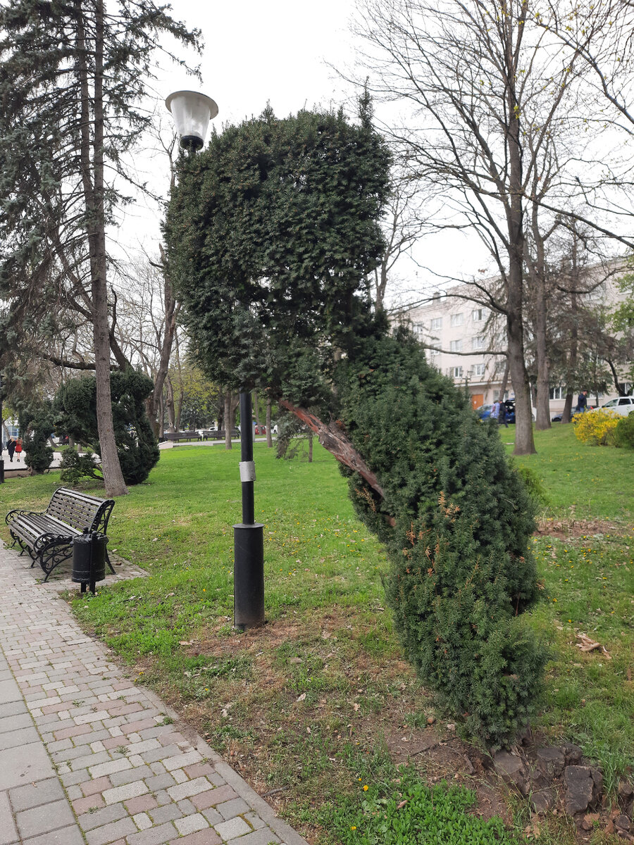 Пятигорск. Даже поход на рынок похож на экскурсию | Вот такая я ...