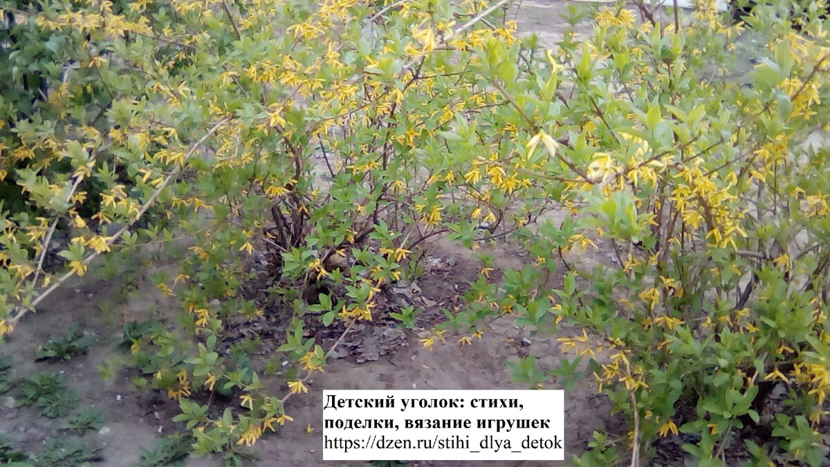 Весеннее пробуждение природы