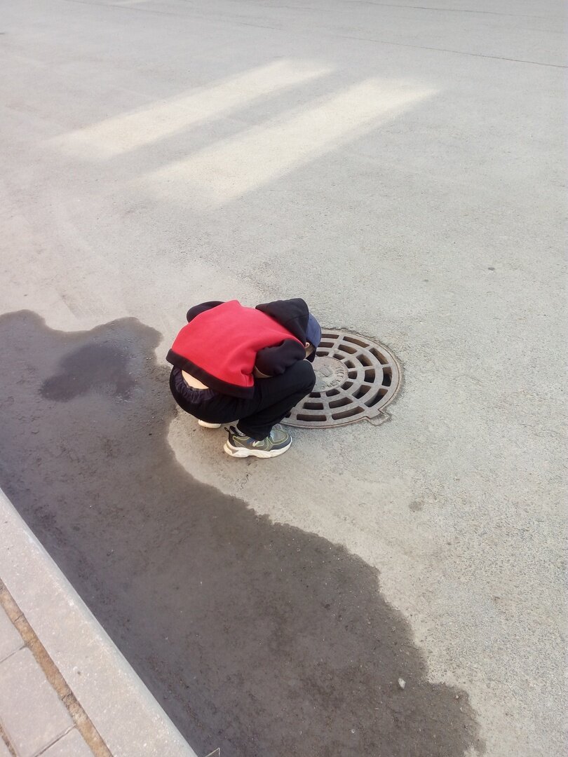 С этой весны Захар крайне отвратительно смотрит люки - наклоняется низко-низко, того и гляди, носом клюнет...