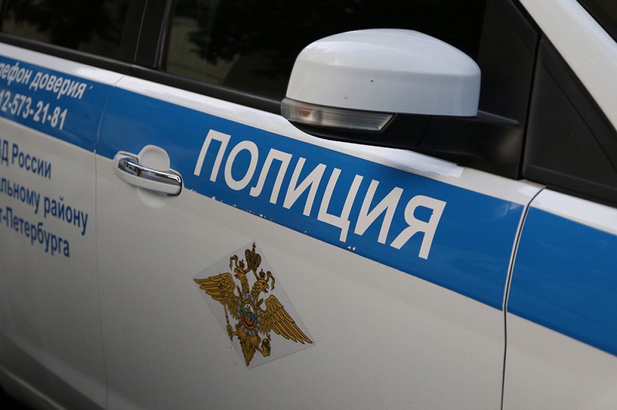    В Петербурге 55-летний педофил развращал 14-летнего подростка