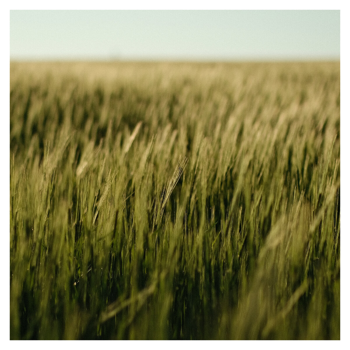 Продолжение скоро...